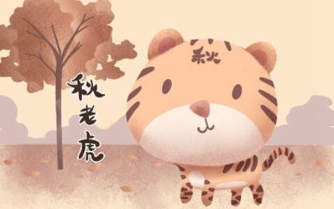 2022年立秋前还是立秋后出生的老虎好一点  今天出生的孩子适合叫什么名字