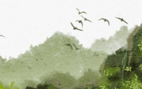 万姓虎宝宝男孩名字大全 两个字的名字怎么取