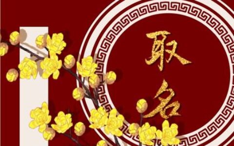 虎年小满节气出生取名字推荐 有福气的乳名