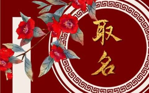 虎年宝宝乳名男女通用  热门名字解析