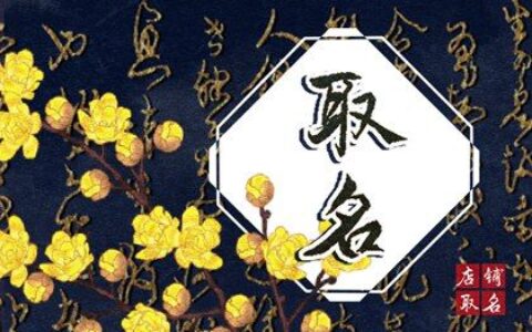 2022年出生的孔姓宝宝名字大全 有潜力的孔姓宝宝名字