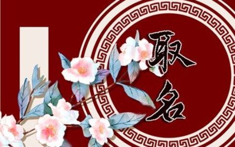 2022年农历9月11日出生的男宝宝名字推荐  属虎男孩吉利的名字大全