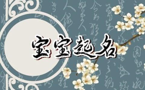 23年11月12日九月廿九生的男孩五行属木 今日取名宝典