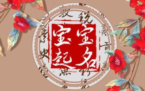 虎年林姓男孩名字 好运不断的男宝宝名字