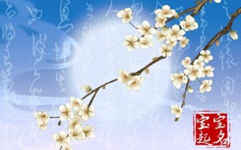 癸卯年9月8日白露出生男孩什么命 博学多才的名字