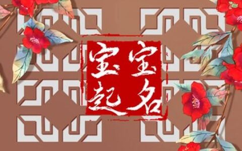 2022年农历十一月初八出生的男孩五行取名打分 缺火的最佳宜用字